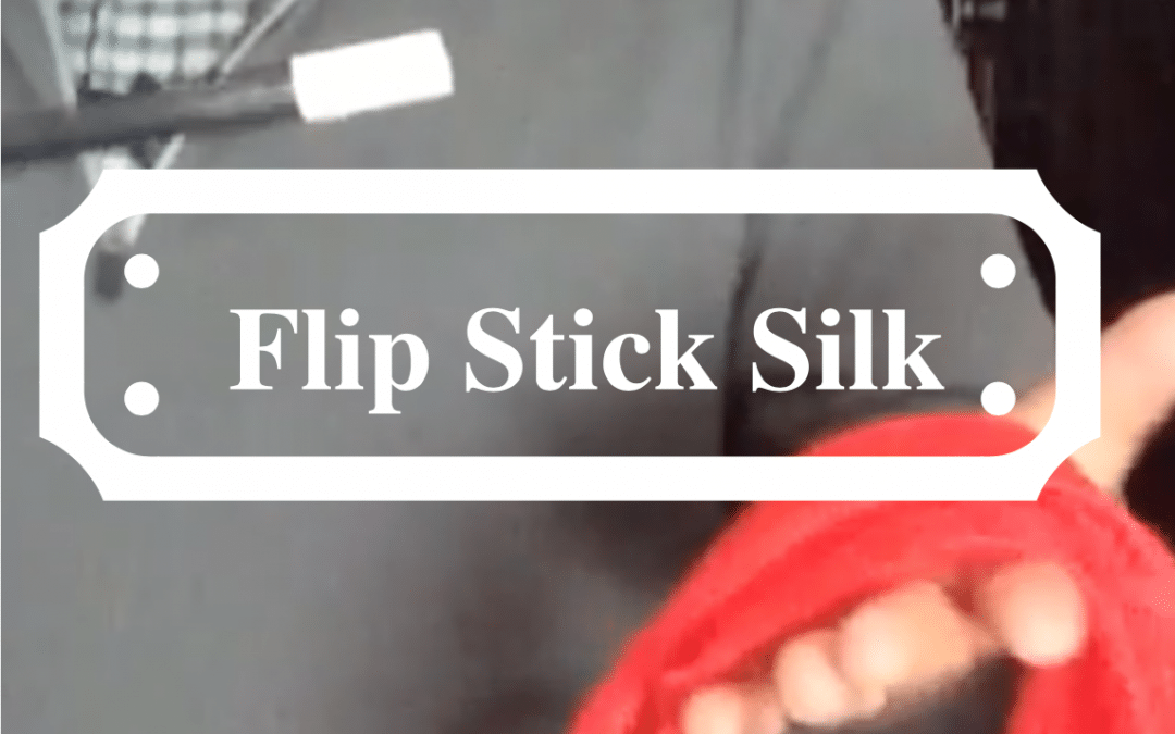 Flip Stick Silk